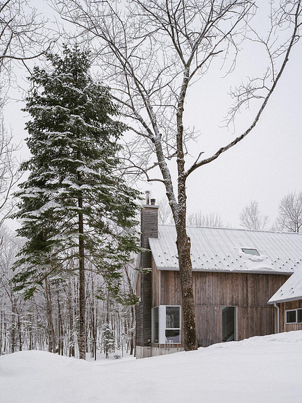 Anke Schneider v2com Agent