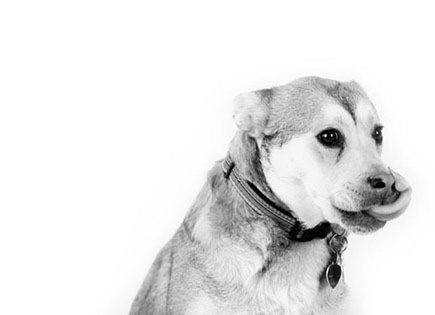 Nancy Angama v2com Agent